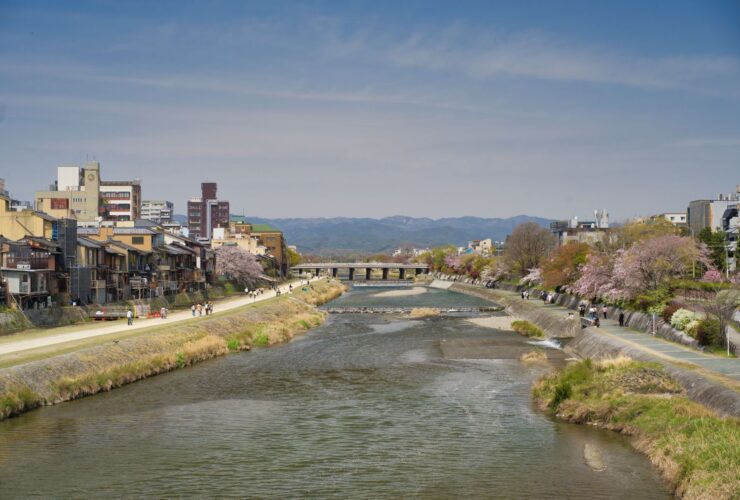 best places to visit in spring - Photo by Frank Lee on Pexels