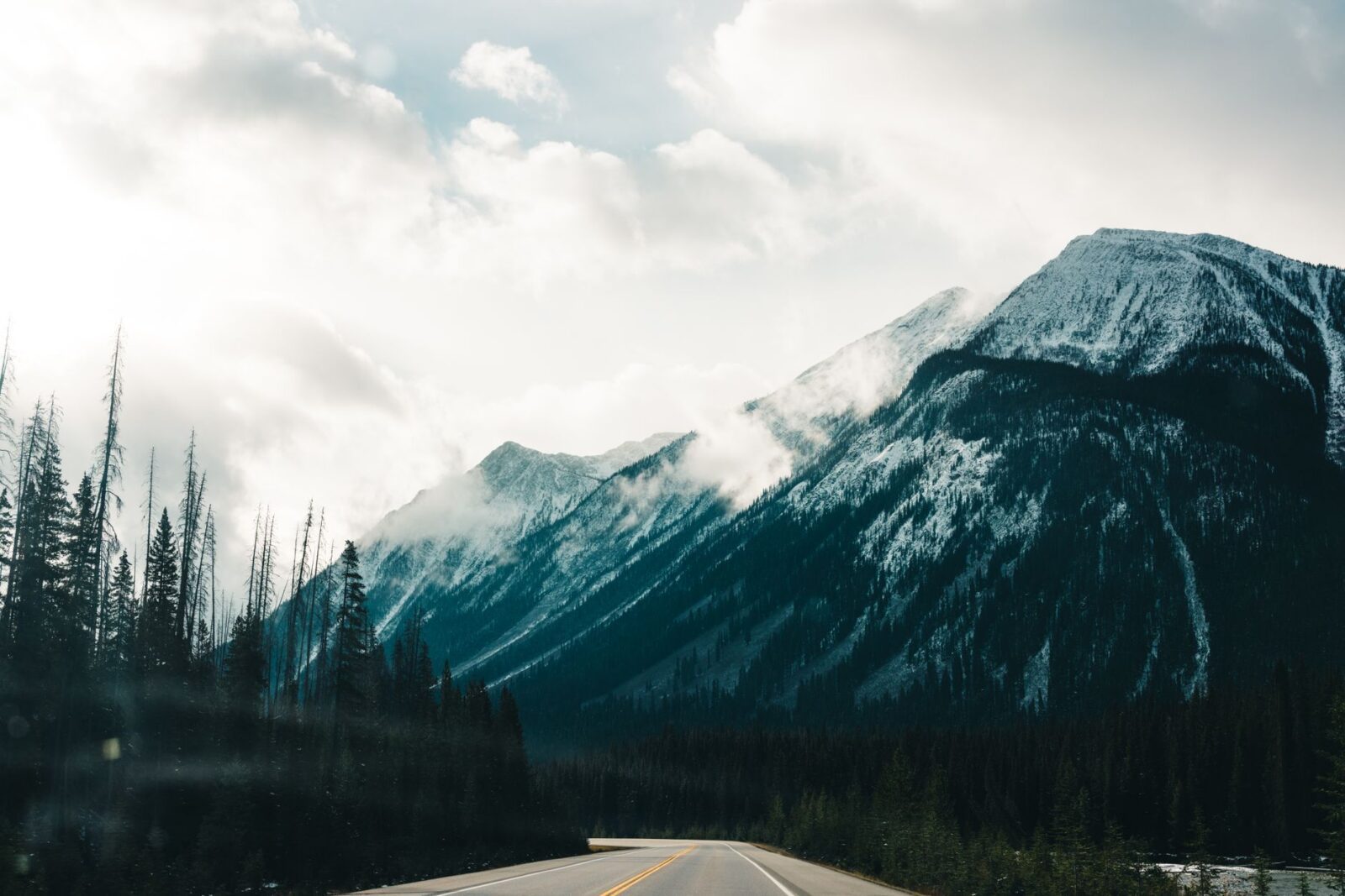 Minister Metlege Diab to highlight the extension of the federal fuel excise tax relief on gasoline, diesel, and aviation fuels for Canadians - Photo by Ali Kazal on Pexels