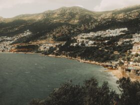 Amazing Bridges Around the World Every Traveler Should See - Photo by UMUT 🆁🅰🆆 on Pexels