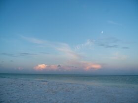 This Peaceful Southern Spot Was Just Named the Calmest Beach in the U.S.—and It Has Small-town Charm and Few Crowds - Photo by Quang Vuong on Pexels
