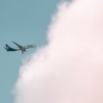 Baby on board: Alaska Airlines Atmos Rewards just made it much cheaper to fly with lap infants on award tickets - Photo by Cody on Pexels