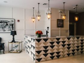 best pet friendly hotels - Photo by Abhishek Navlakha on Pexels