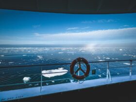 Alaska Cruise vs Caribbean Cruise Which Should You Choose - Photo by Francesco Ungaro on Pexels