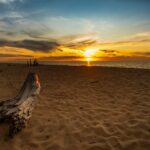 At Nihi Rote and Hospitality Academy, Exploring Eastern Indonesia by Boat and Board - Photo by Dian is Light on Pexels