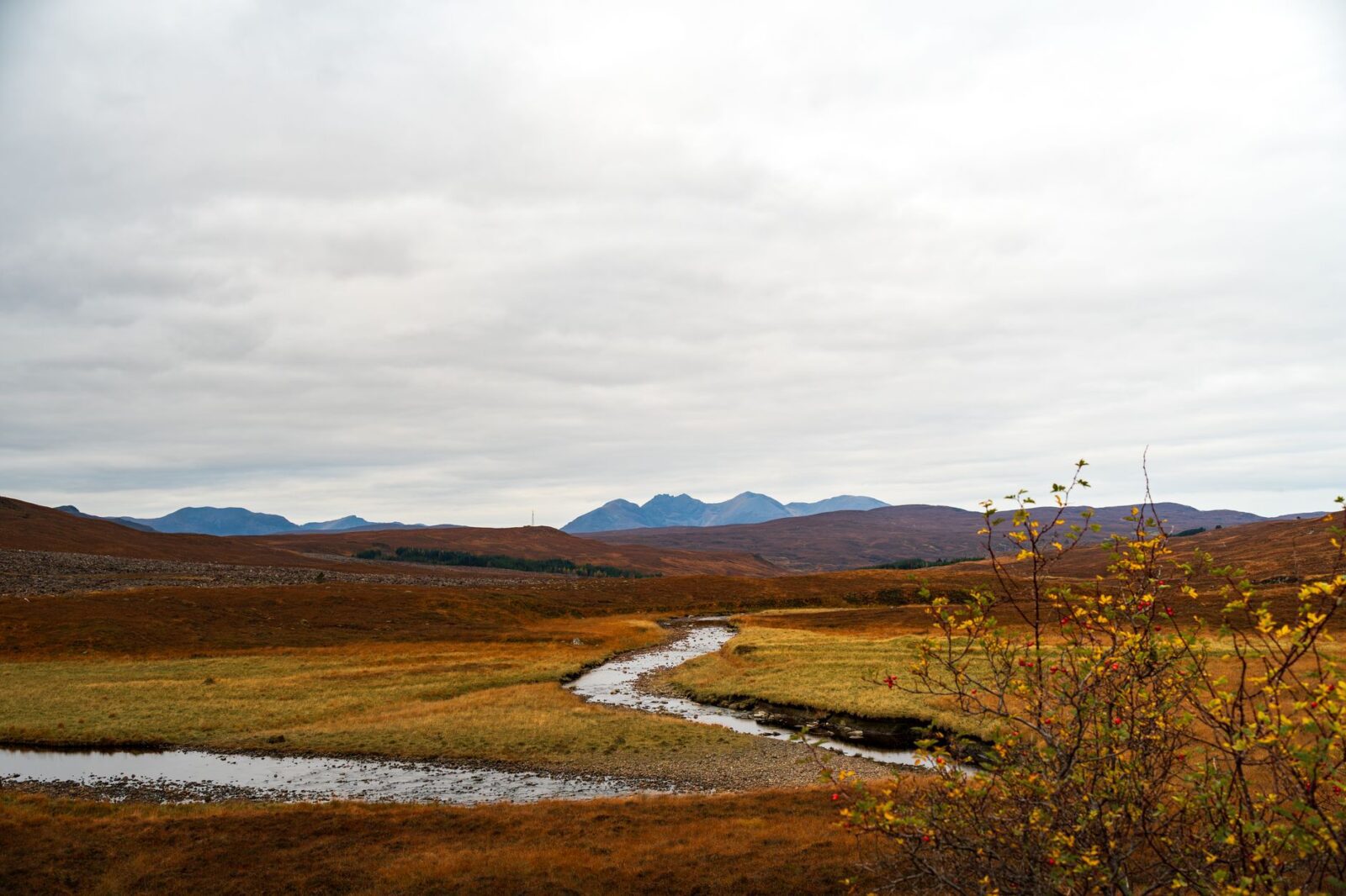 best places to visit in scotland - Photo by Michał Robak on Pexels
