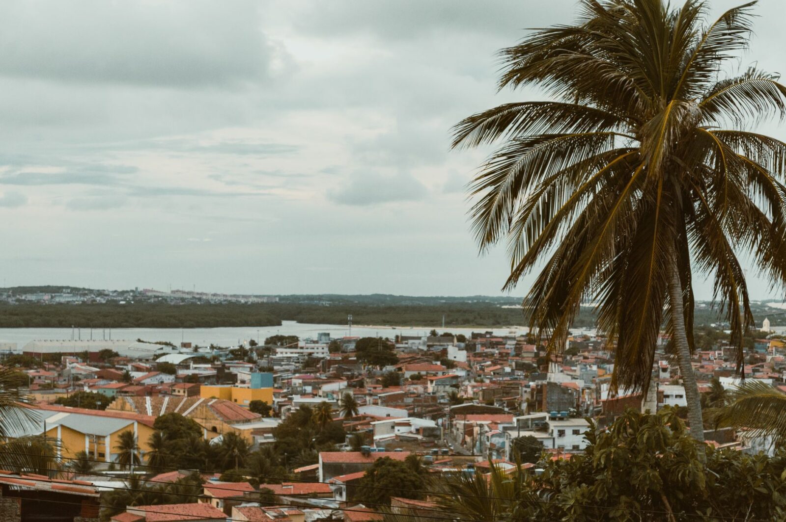 Brazil Is Now Advancing Corumbá’s Destination Management Plan To Unlock Better Opportunities In The Pantanal - Photo by Ivett M on Pexels