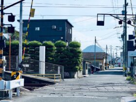 Near miss at Hopperton Old Station user worked crossing - Photo by YK NG on Pexels