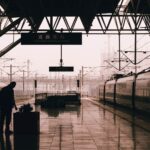 Free rail travel expanded to bereaved veteran families this Remembrance weekend - Photo by tree diagram on Pexels