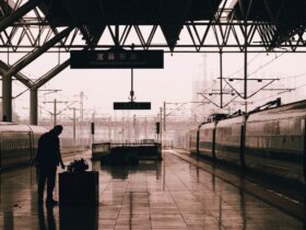 Free rail travel expanded to bereaved veteran families this Remembrance weekend - Photo by tree diagram on Pexels