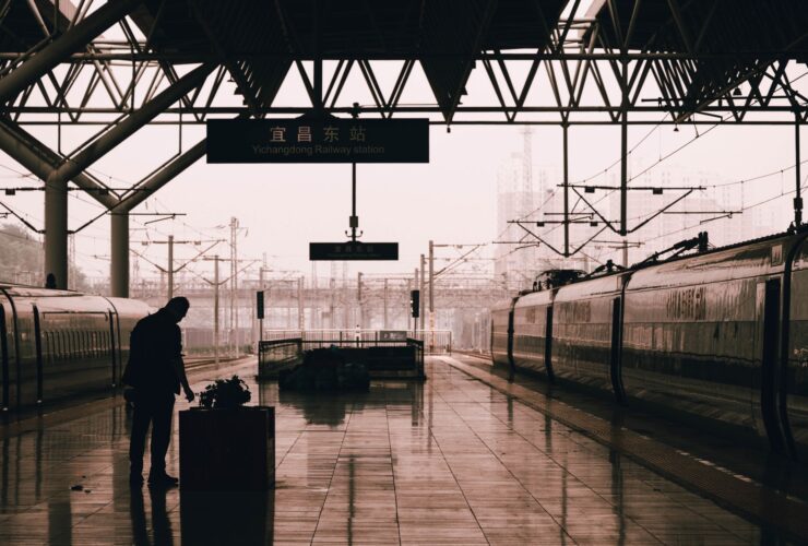 Free rail travel expanded to bereaved veteran families this Remembrance weekend - Photo by tree diagram on Pexels