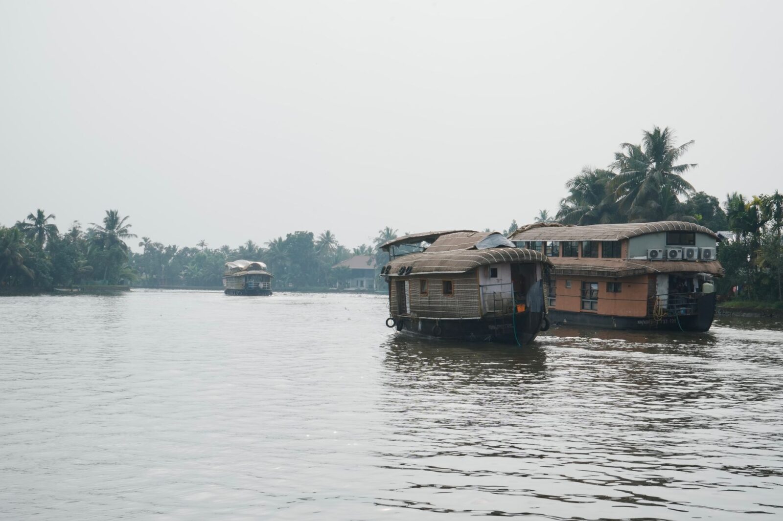 best places to visit in august in india - Photo by Ravi Kant on Pexels