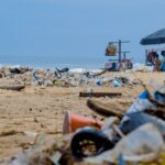 These Are Americans’ Worst Beach Habits—and 70% Admit to Doing the Grossest One - Photo by Lucien Wanda on Pexels