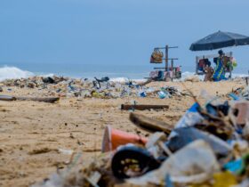 These Are Americans’ Worst Beach Habits—and 70% Admit to Doing the Grossest One - Photo by Lucien Wanda on Pexels