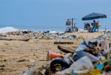 These Are Americans’ Worst Beach Habits—and 70% Admit to Doing the Grossest One - Photo by Lucien Wanda on Pexels