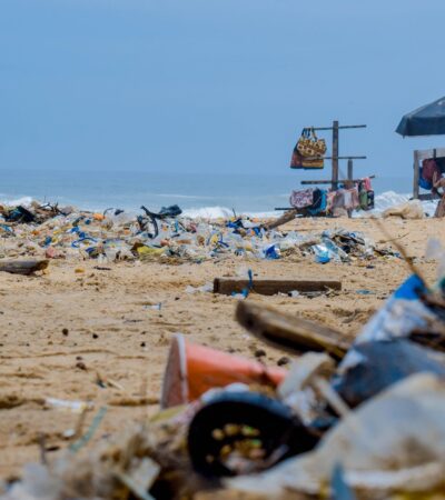 These Are Americans’ Worst Beach Habits—and 70% Admit to Doing the Grossest One - Photo by Lucien Wanda on Pexels