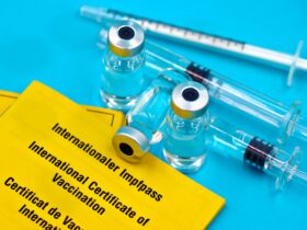 Level 2 - Yellow Fever in Colombia - Photo by Marta Branco on Pexels