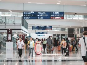 air canada travel advisory - Photo by Angelyn Sanjorjo on Pexels