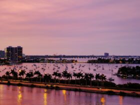 29 Best Hotels in Miami (2026), From Key Biscayne to Wynwood - Photo by Brendon Spring on Pexels