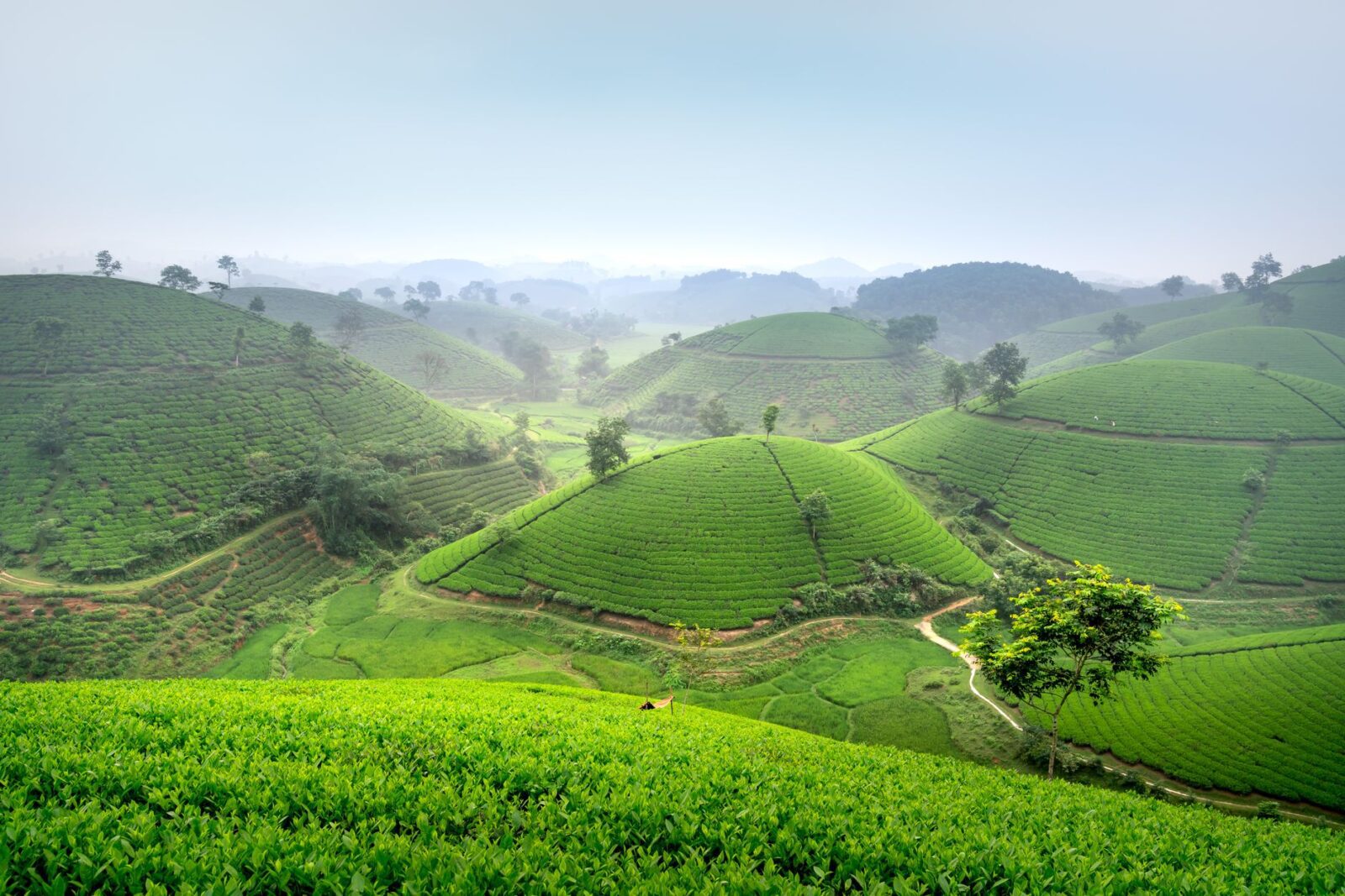 best places to visit in august in india - Photo by Quang Nguyen Vinh on Pexels