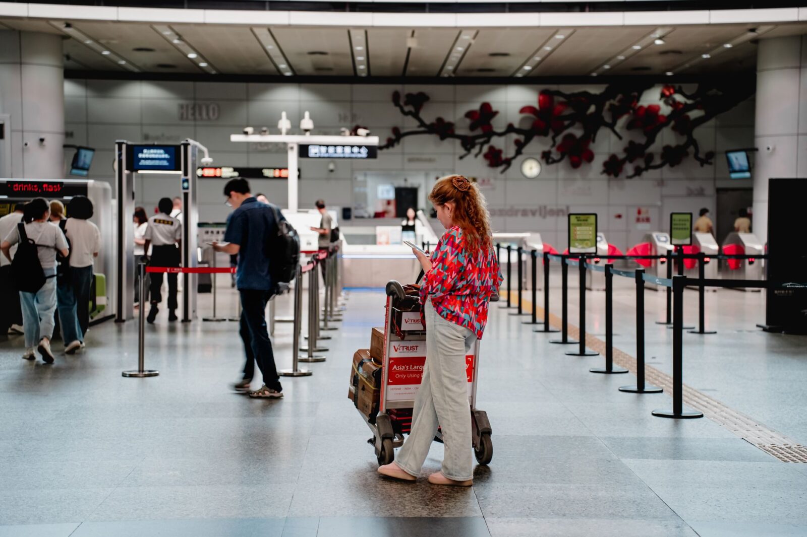delta travel advisory - Photo by dongfang xiaowu on Pexels