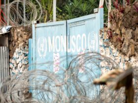 The United Kingdom stands ready to work with the UN to ensure UN peace operations remain adaptable, effective, and fit for the challenges ahead: UK statement at the UN Security Council - Photo by Safi Erneste on Pexels