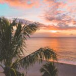 12 Best Aruba Hotels to Build a Sun-Soaked Caribbean Escape Around - Photo by Jess Loiterton on Pexels
