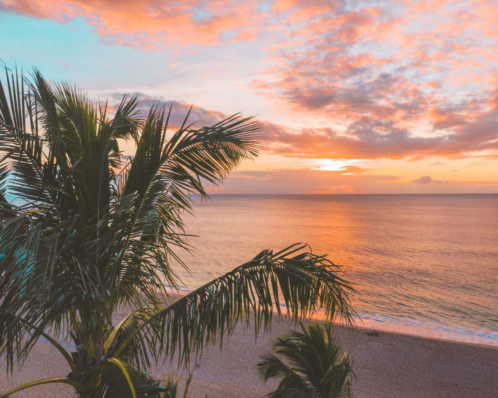 12 Best Aruba Hotels to Build a Sun-Soaked Caribbean Escape Around - Photo by Jess Loiterton on Pexels