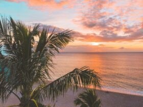 12 Best Aruba Hotels to Build a Sun-Soaked Caribbean Escape Around - Photo by Jess Loiterton on Pexels