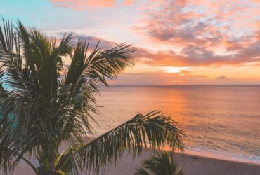 12 Best Aruba Hotels to Build a Sun-Soaked Caribbean Escape Around - Photo by Jess Loiterton on Pexels
