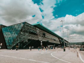delta travel advisory - Photo by Elizabeth Rushkovska on Pexels