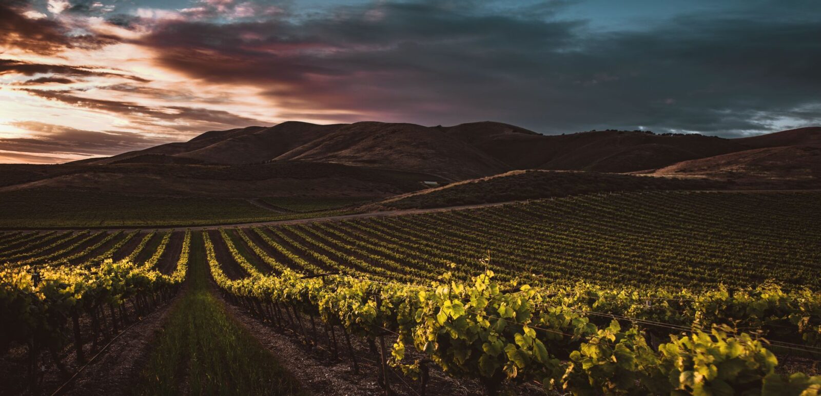 best places to visit in new zealand - Photo by Tim Mossholder on Pexels