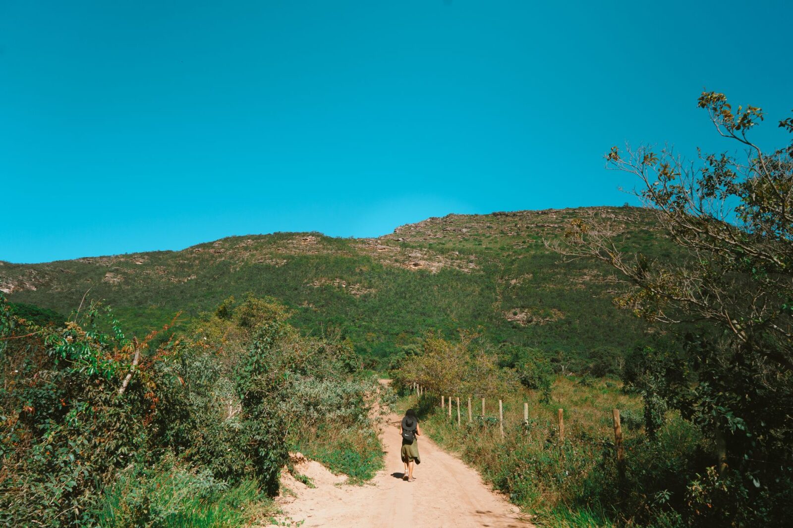 Level 2 - Yellow Fever in Colombia - Photo by Lucas Andrade on Pexels
