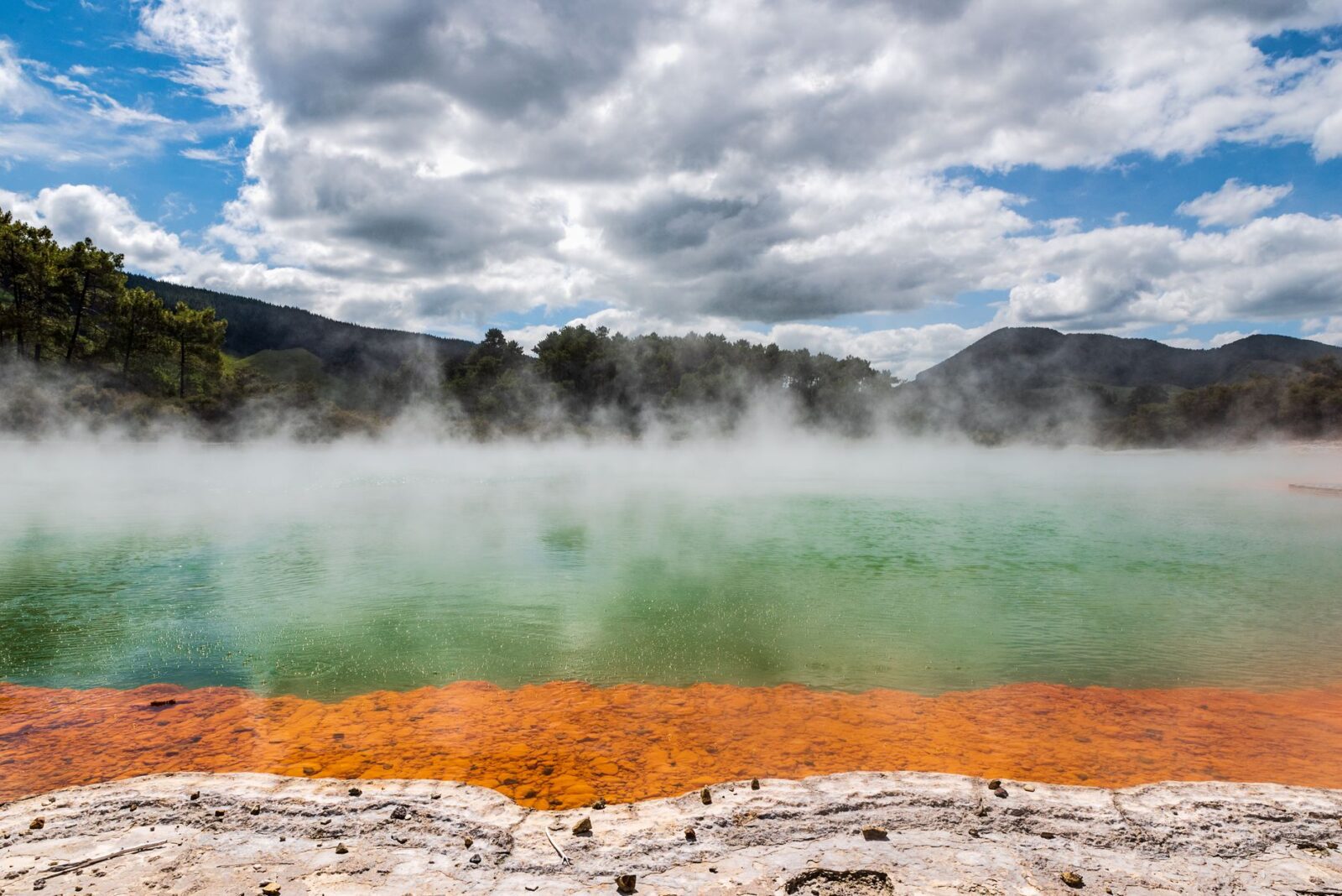 best places to visit in new zealand - Photo by Richard Pan on Pexels