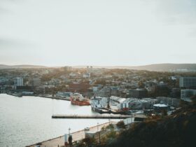 Minister Metlege Diab to make an announcement regarding Francophone immigration in St. John’s - Photo by Jonathan Cooper on Pexels
