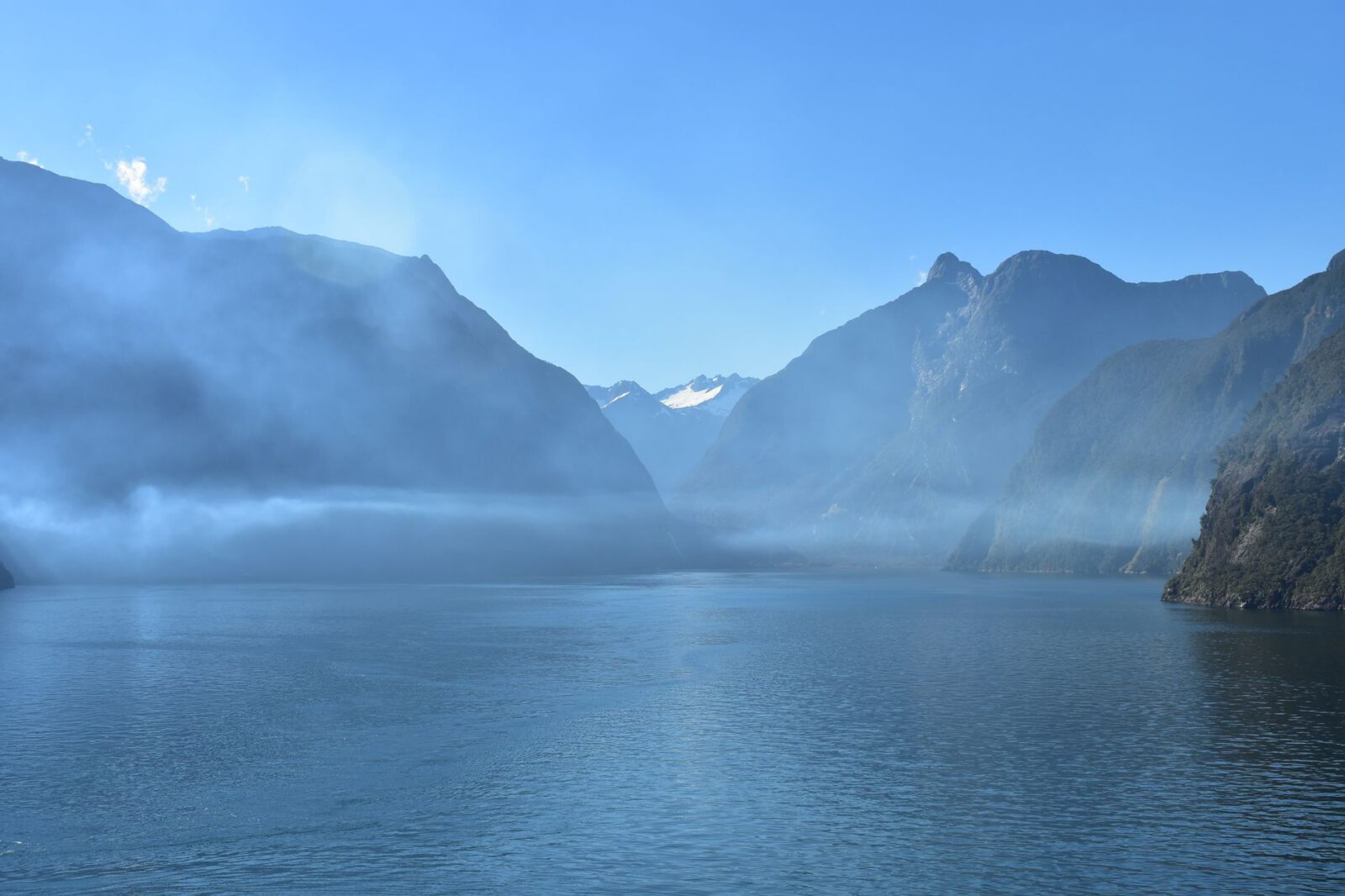 In Heart of the Beast, New Zealand's South Island Makes a Compelling Dupe for Alaska - Photo by Don Geyer on Pexels