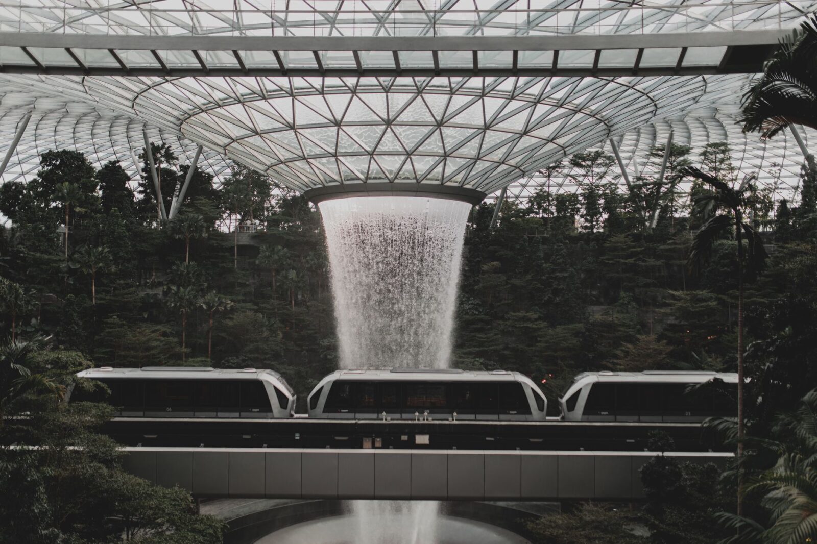 Singapore Strengthens Tourism Appeal As Boeing Training Campus Celebrates 20 Years Of Aviation Growth - Photo by Soulful Pizza on Pexels