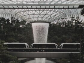 Singapore Strengthens Tourism Appeal As Boeing Training Campus Celebrates 20 Years Of Aviation Growth - Photo by Soulful Pizza on Pexels