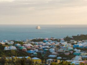 carnival vista cruise deals - Photo by Brandon Morrison on Pexels