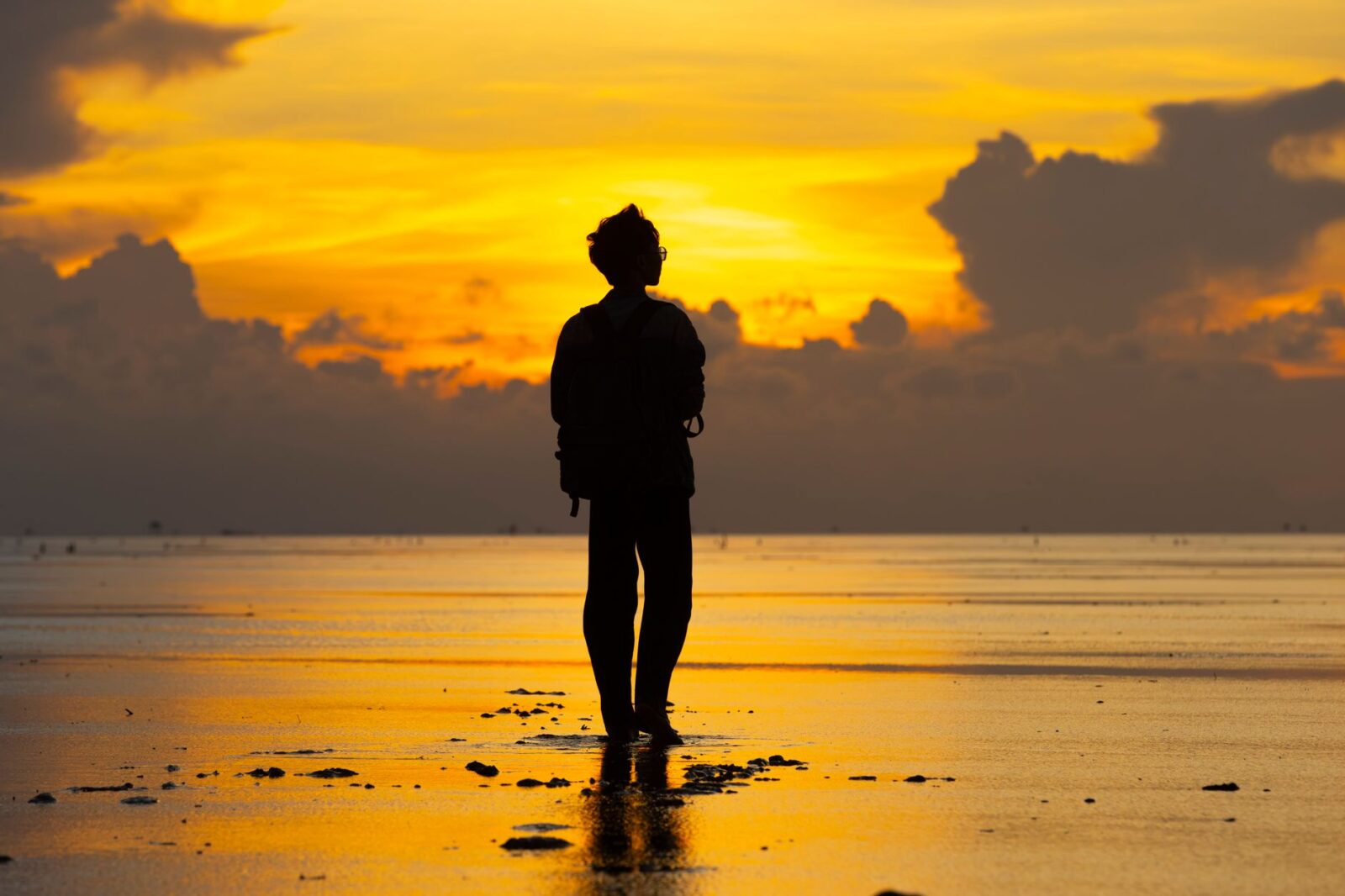 UK Joins Brazil and More as Overseas Travellers Turn to Solo Holidays Across America in Growing Numbers - Photo by HONG SON on Pexels