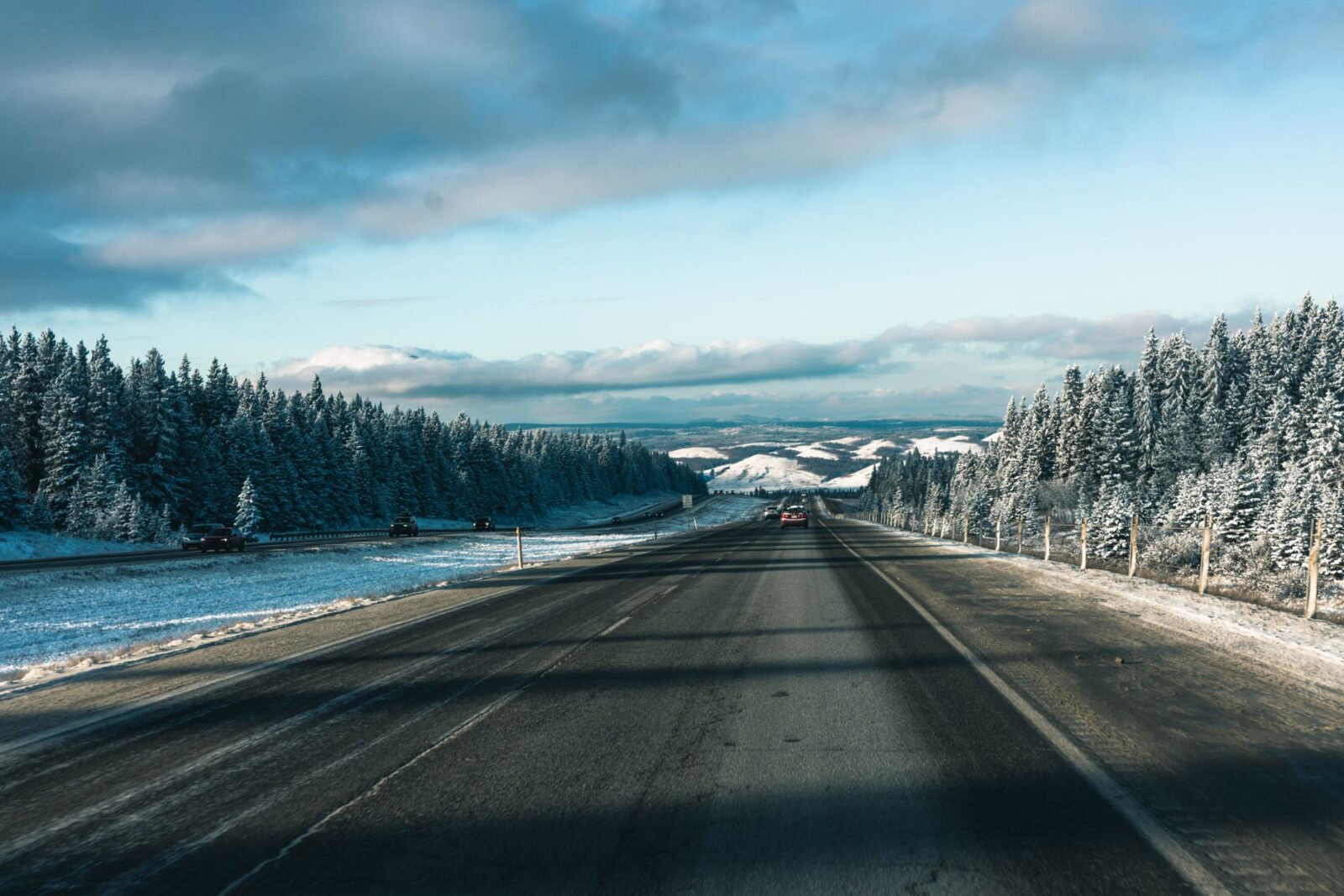 Canadian Travel to the U.S. Grew for a 5th Month Despite Trade War — Still Down 27% From 2024 - Photo by Ali Kazal on Pexels