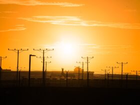 cheap flights to lax airport - Photo by Mik Hapte on Pexels