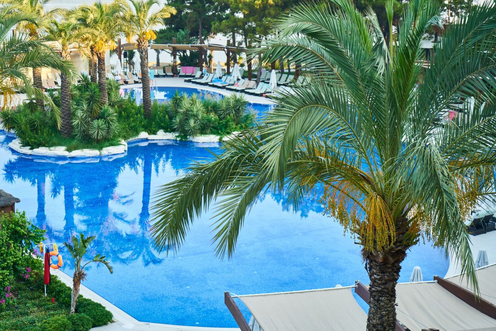12 Best Aruba Hotels to Build a Sun-Soaked Caribbean Escape Around - Photo by Engin Akyurt on Pexels