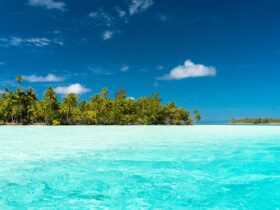 PM call with Prime Minister Ramgoolam of Mauritius: 21 September 2026 - Photo by Adrien Daurenjou on Pexels