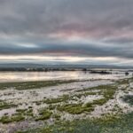 Brazil Is Now Advancing Corumbá’s Destination Management Plan To Unlock Better Opportunities In The Pantanal - Photo by Tom Fisk on Pexels