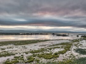 Brazil Is Now Advancing Corumbá’s Destination Management Plan To Unlock Better Opportunities In The Pantanal - Photo by Tom Fisk on Pexels