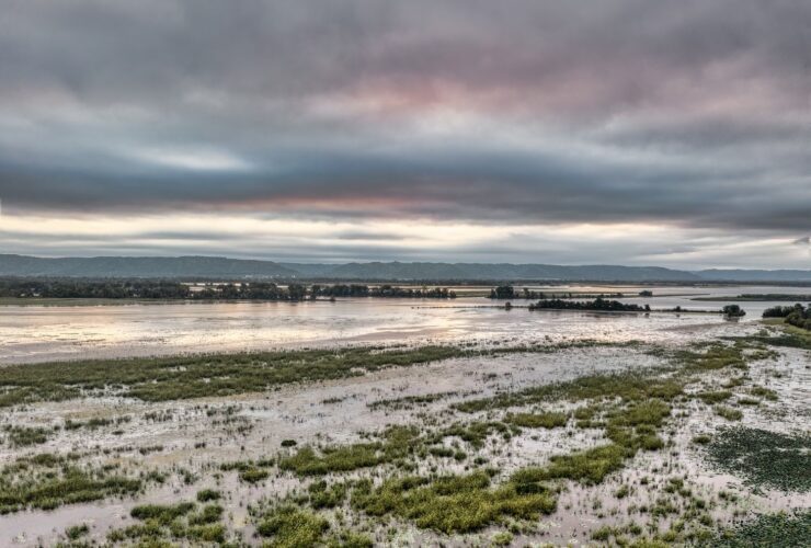 Brazil Is Now Advancing Corumbá’s Destination Management Plan To Unlock Better Opportunities In The Pantanal - Photo by Tom Fisk on Pexels