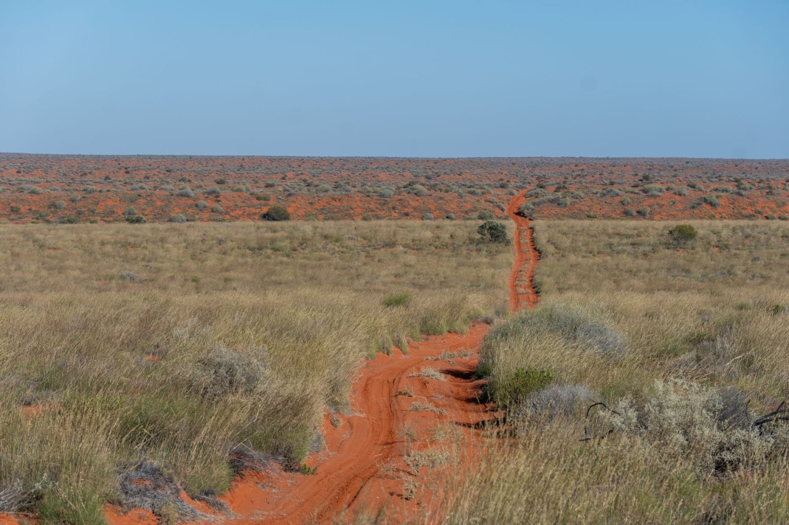 New Zealand Pioneers in Having the Unmatched Road Trip Routes, Followed by Australia and Island Nations Offering Unique Journeys - Photo by Mark Direen on Pexels