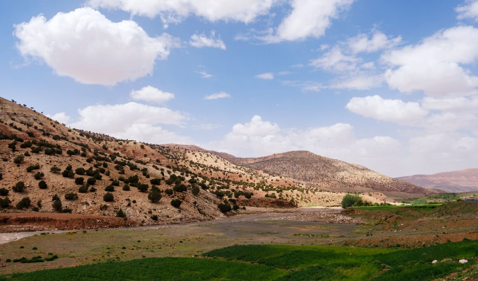 In Morocco's High Atlas Mountains, Joining One of the Oldest Migrations in Africa - Photo by pierre matile on Pexels