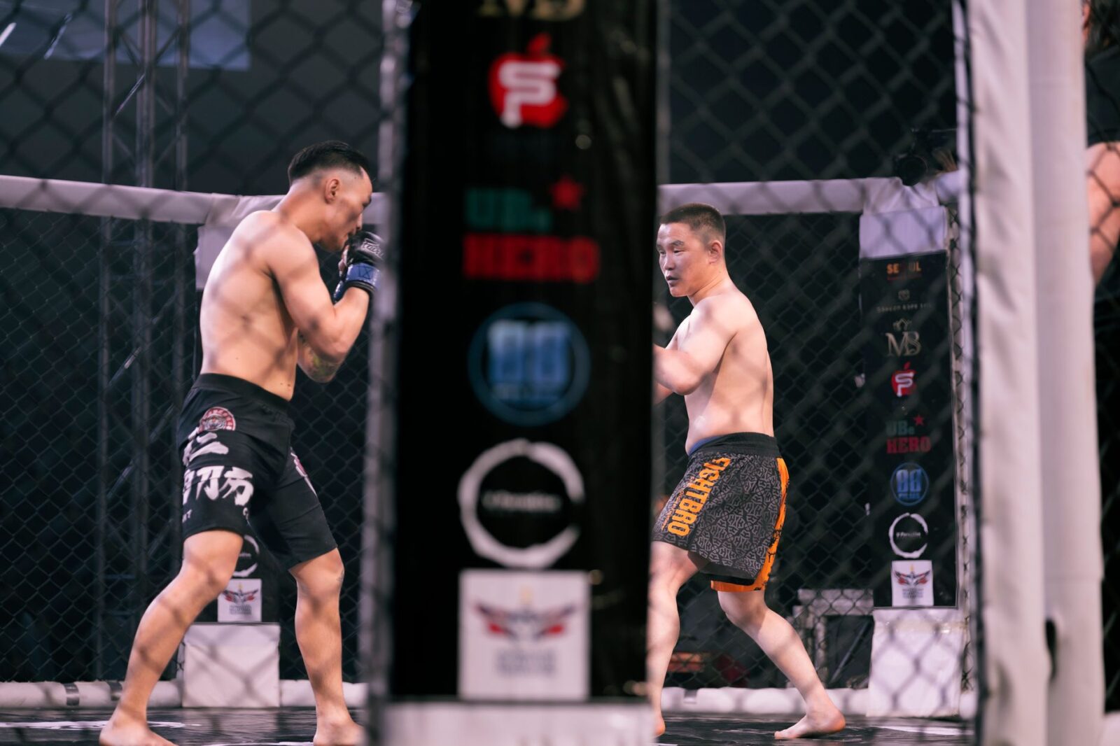 Qatar Unlocks a New Sports Tourism Push as UFC Fight Night Returns to Doha With Major International Action - Photo by BYB BYB on Pexels
