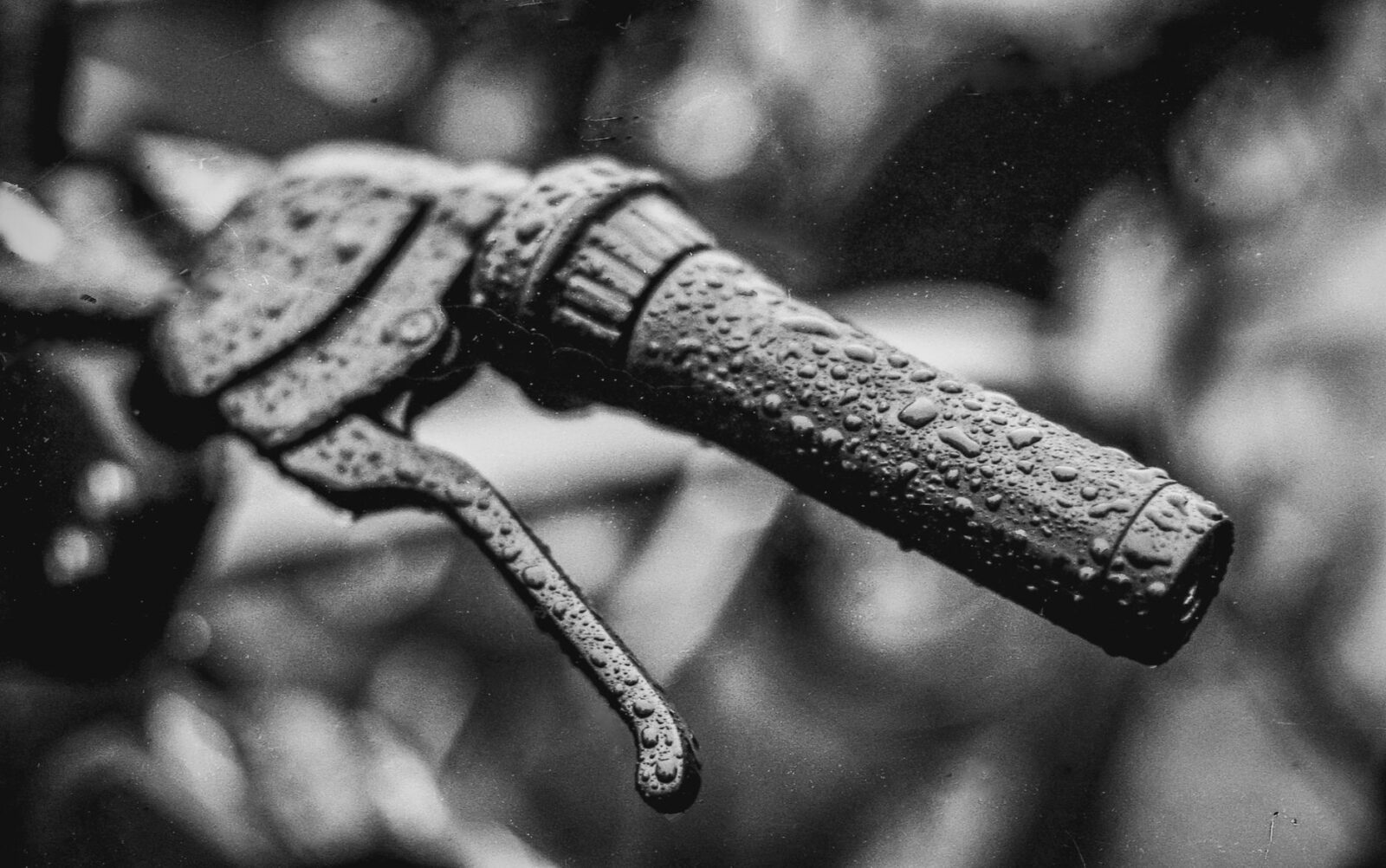 DuVine Cycling’s Case for Experiences You Have to Earn - Photo by Grzegorz  Lewandowski on Pexels